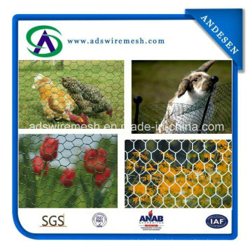 Hot Sale! ! ! 1/2′′ Hexagonal Wire Mesh Chicken Wire Mesh, Chicken Wire